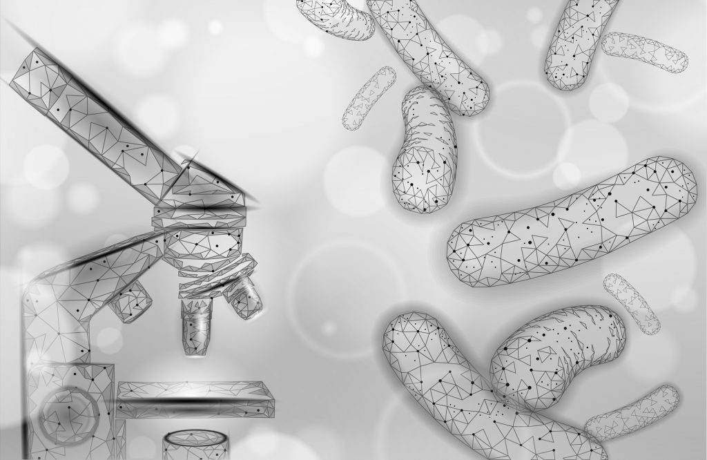 顕微鏡と細菌